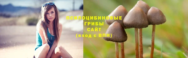 ALPHA PVP Беломорск