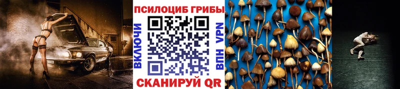 Галлюциногенные грибы ЛСД купить наркотик Новоалександровск